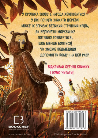 Книга Ведмедиця і кролик. Цей руйнівник танцювати не звик