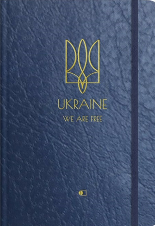 Книга Щоденник річній недатований, бумвініл з тисненням синій