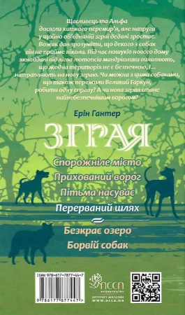 Книга Зграя. Книга 4. Перерваний шлях