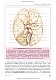Малий атлас з анатомії: 6-е видання / Ришард Алєксандровіч, Богдан Цішек