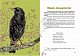 Вусохвості й лапокрилі. Читанка про тварин