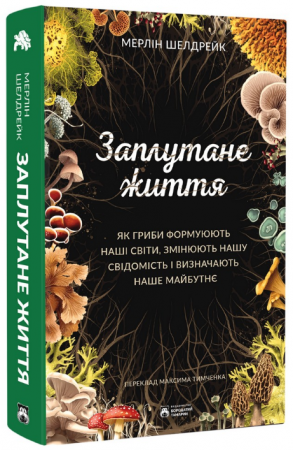 Книга Заплутане життя