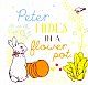 Peter Rabbit: Hello Peter!