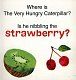 Where is the Very Hungry Caterpillar?