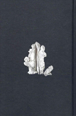 Книга Мами́