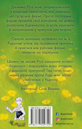 Книга Руданчик — кошеня-безхатько