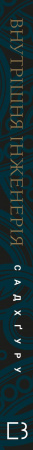 Книга Внутрішня інженерія. Керівництво з йоги, що приведе вас до радості
