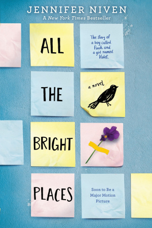 Книга All the Bright Places