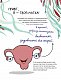 У гармонії з тілом. Про менструацію та дорослішання