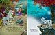 Маленька одноріжка Зіронька. Чудово бути друзями!