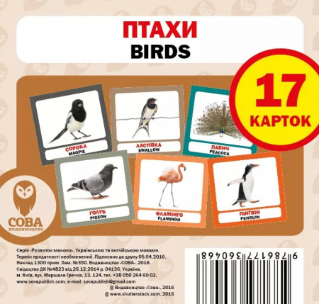 Книга Мої перші слова. Зелений (комплект із 5 книг)