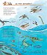 Чому? Чого? Навіщо? Відкриваємо світ динозаврів