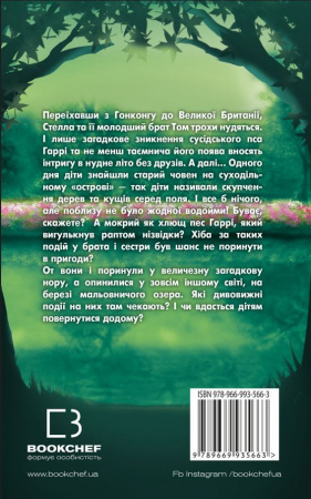 Книга Таємне озеро