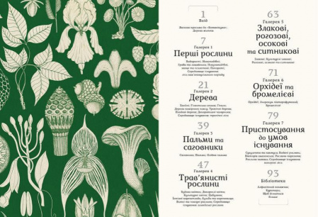 Книга Ботанікум