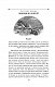 Мандри до різних далеких країн світу Лемюеля Гуллівера, спершу лікаря, а потім капітана кількох кораблів