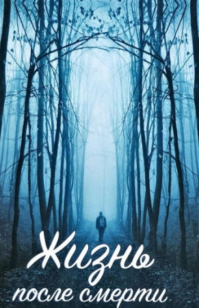 Книга Жизнь после смерти. Реальные факты и рассказы очевидцев