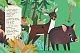 Дізнайся хто: Найменший у лісі