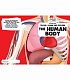 The human body