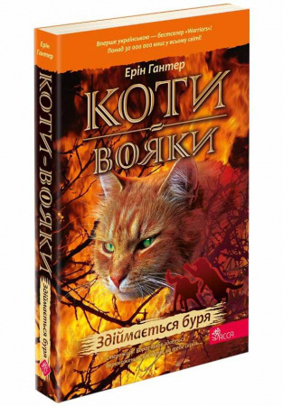 Книга Коти вояки. Здіймається буря