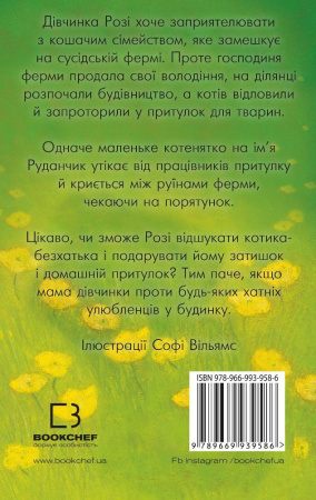 Книга Руданчик — кошеня-безхатько (м'яка обкладинка)