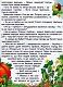 Барвінок. Оповідання для дітей про Україну