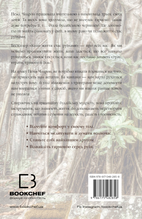 Книга Коли життя стає руїнами. Дієві поради для важких часів