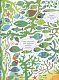 Подивись і знайди. Під водою