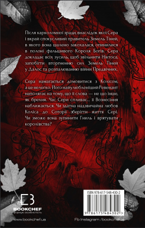 Книга Плоть і вогонь. Книга 3: Вогонь у плоті