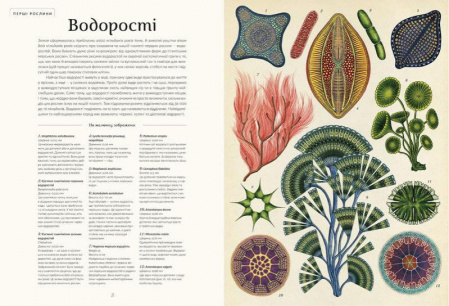 Книга Ботанікум