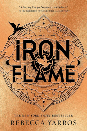Книга Iron Flame