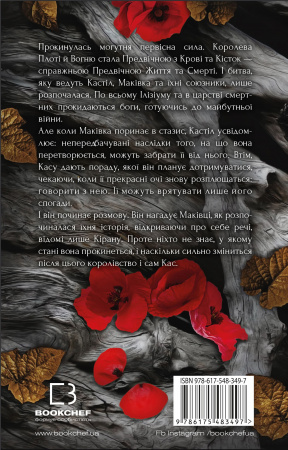 Книга Кров і попіл: Душа з попелу та крові