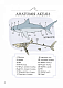 Анатомія океану. Неймовірні місця та частини світу, сховані під водою