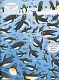 Подивись і знайди. Під водою