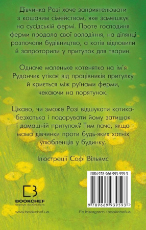 Книга Руданчик — кошеня-безхатько (м'яка обкладинка)