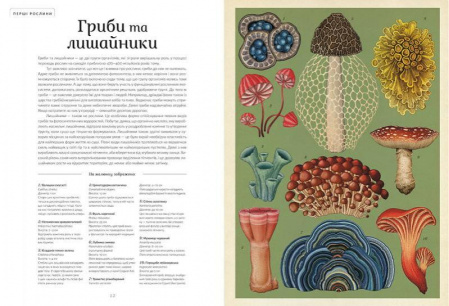 Книга Ботанікум