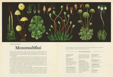 Книга Ботанікум