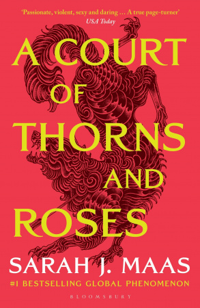 Книга A Court of Thorns and Roses