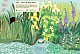 Моя книга природи. Річка і ставок